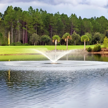 Vertex Vertical FunnelJet Floating Fountain With Beautiful Landscape Behind Fountain
